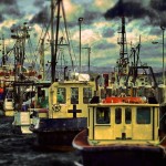 Eden Fishing Wharf Eden Fishing Wharf